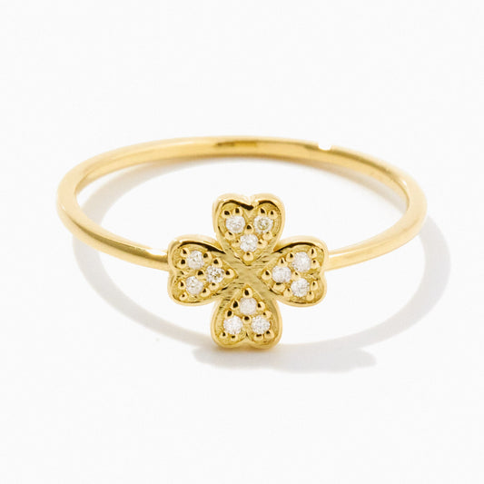 Diamant-Kleering