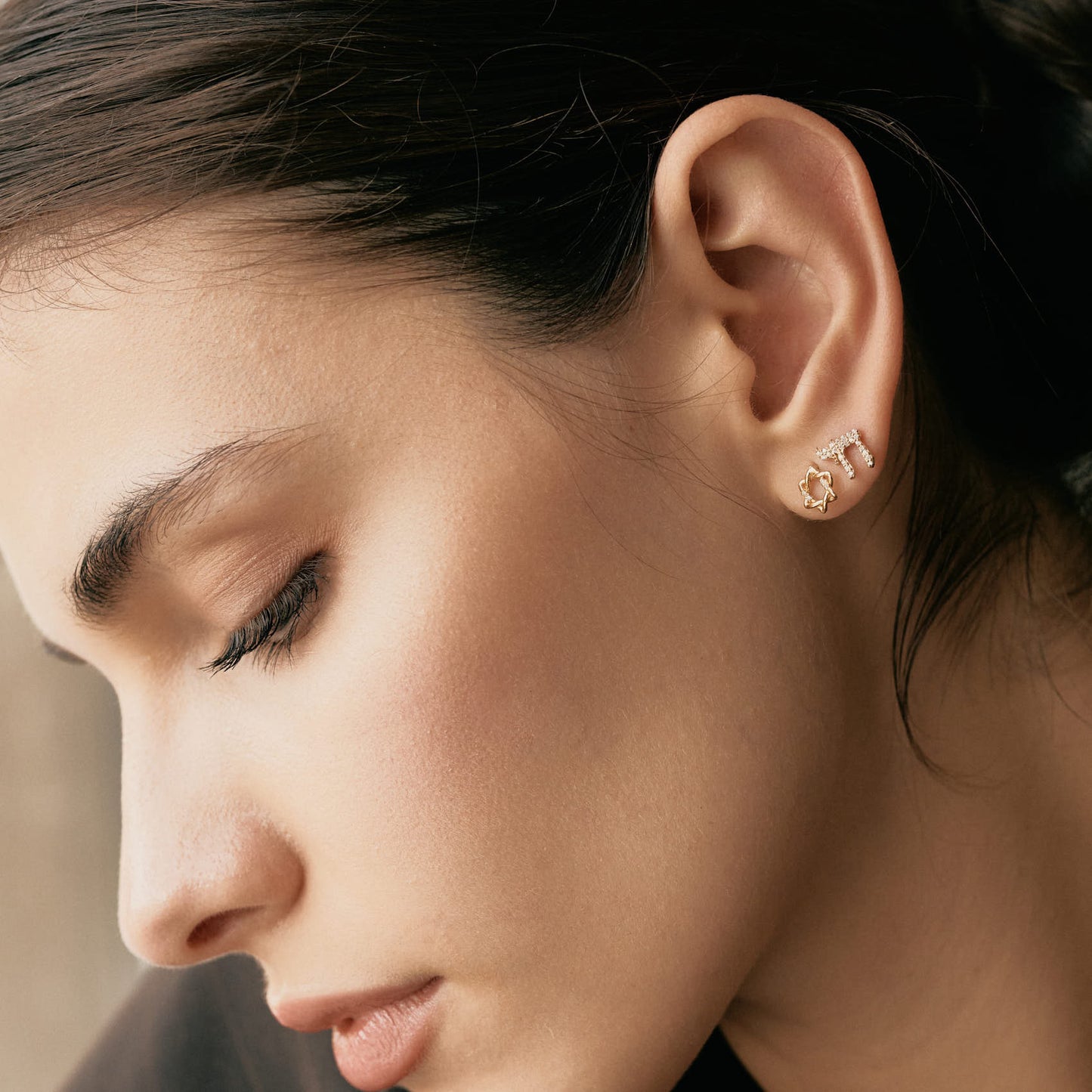 Diamant Hufeisen Ohrringe